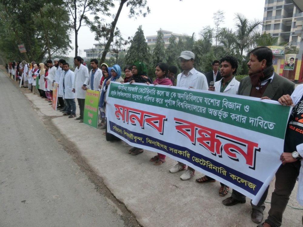 Jhenidah Veterinary College Student HumanChain Photo 21.01.16