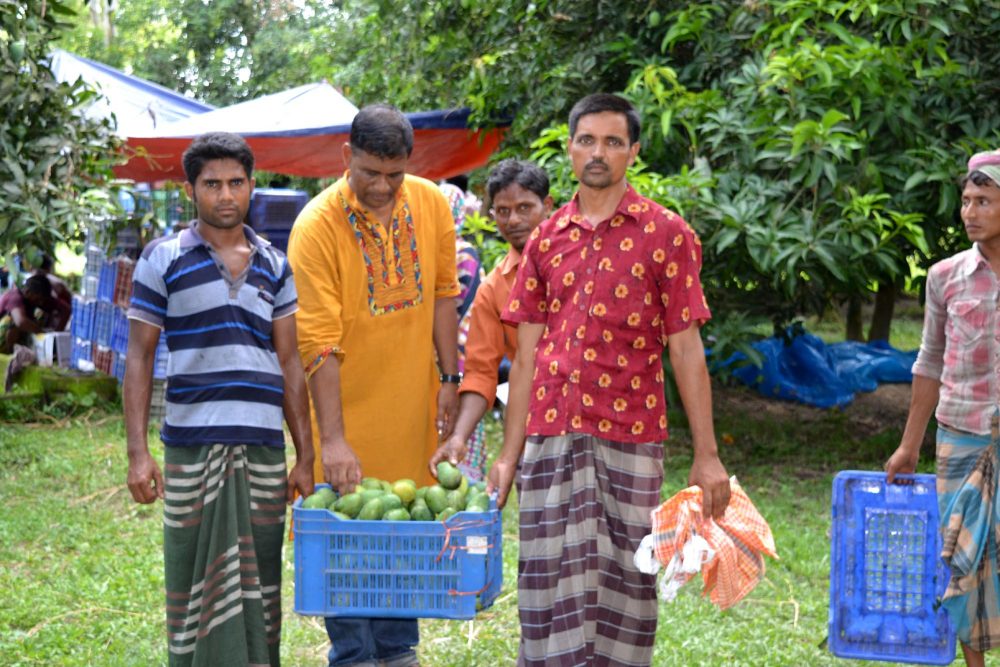 Thakurgaon Hira garden pic-3